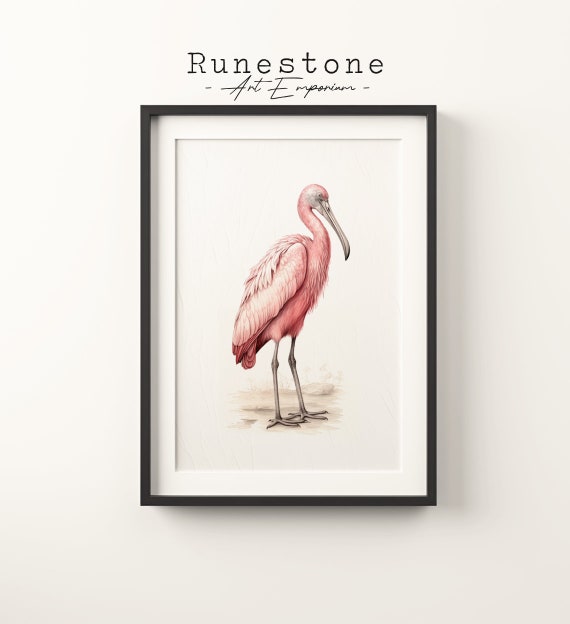 Vintage Exotic Bird Sketch Tropical Boho Wall Art Minimalist Bohemian Hand Drawn Print