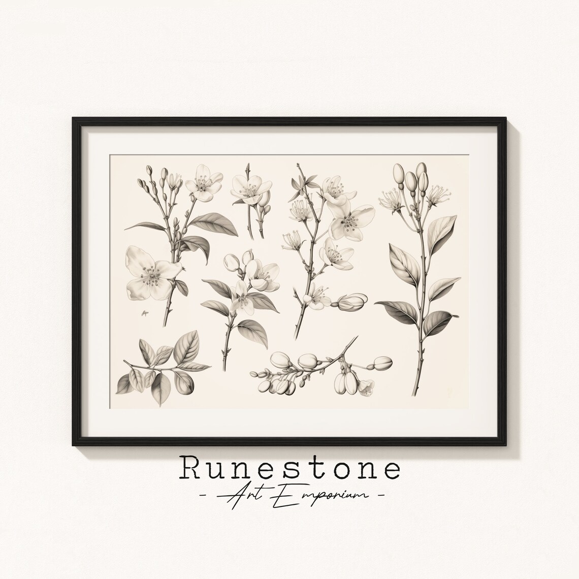 Botanical Sketches Spring Blossom Drawings Minimal Landscape Pencil Drawing Decor Neutral Art Print