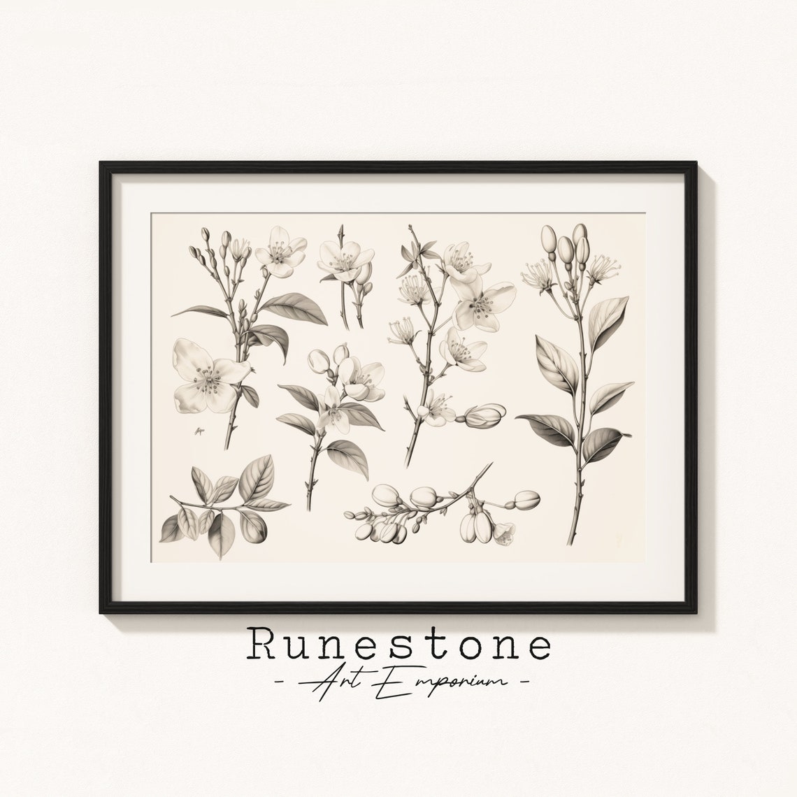 Botanical Spring Blossom Studies Pencil Sketches Floral Art Print