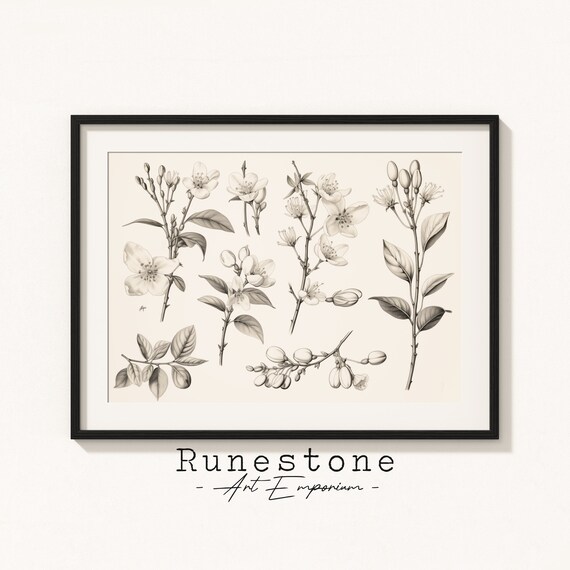 Botanical Sketches Spring Blossom Drawings Minimal Landscape Pencil Drawing Decor Neutral Art Print