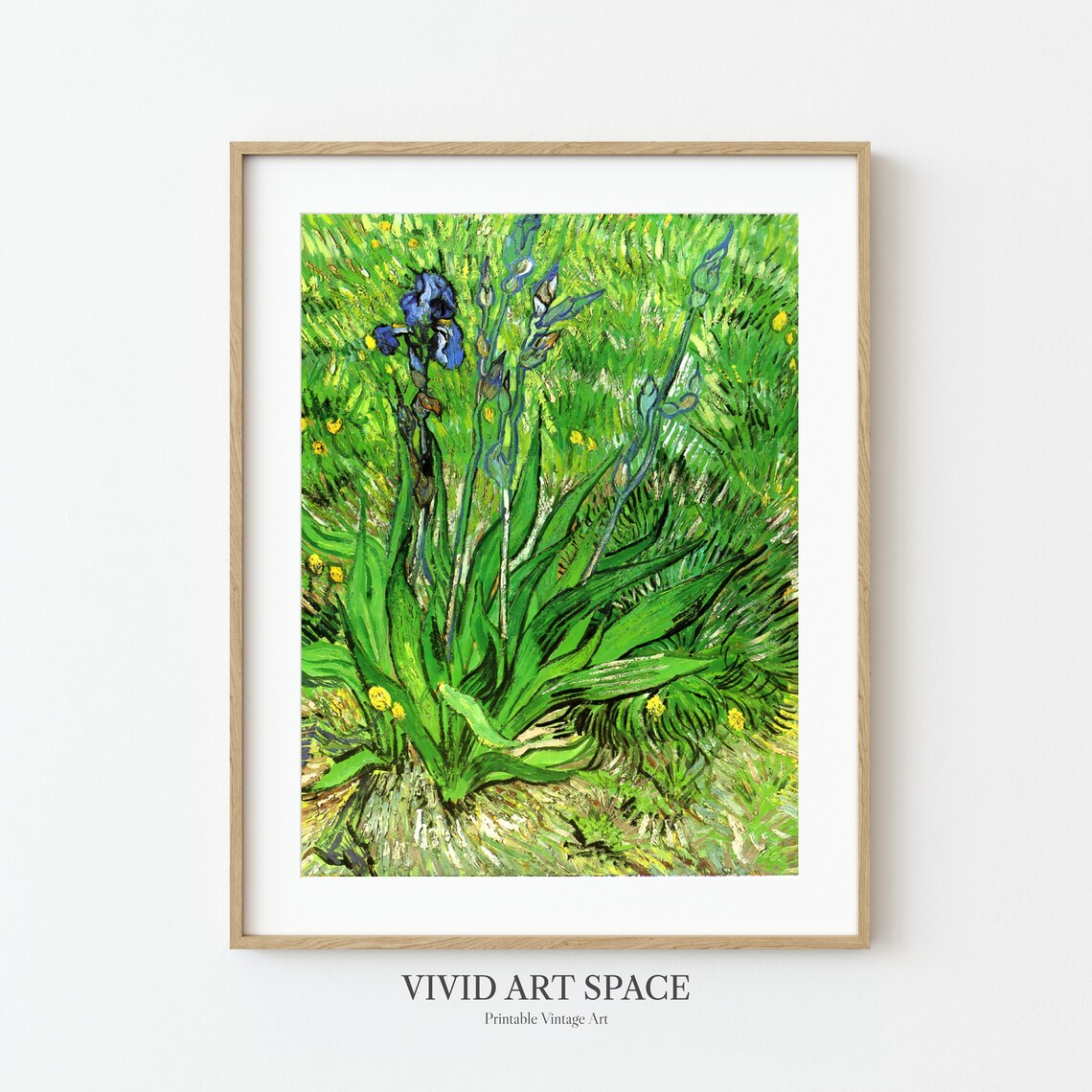 Van Gogh Blue Irises In Green Grass Botanical Painting Poster - Image 3