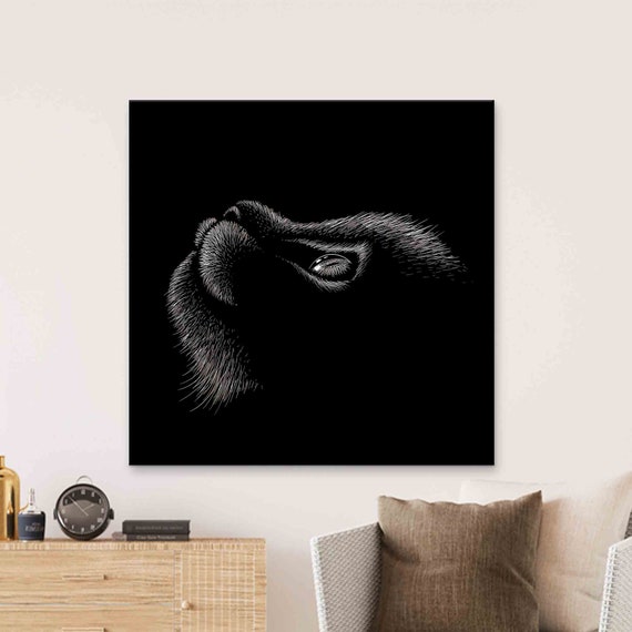 Cat Nose Close Up Black White Scratchboard Animal Drawing Poster