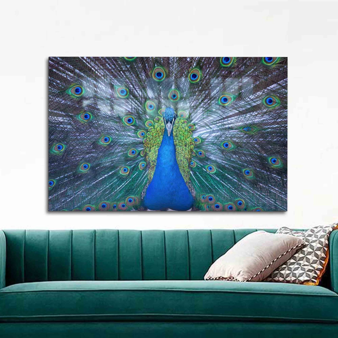Peacock Full Feather Display Vibrant Blue Tail Iridescent Bird Poster