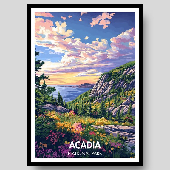 Acadia National Park Sunset Over Ocean Wildflower Meadow Art Poster