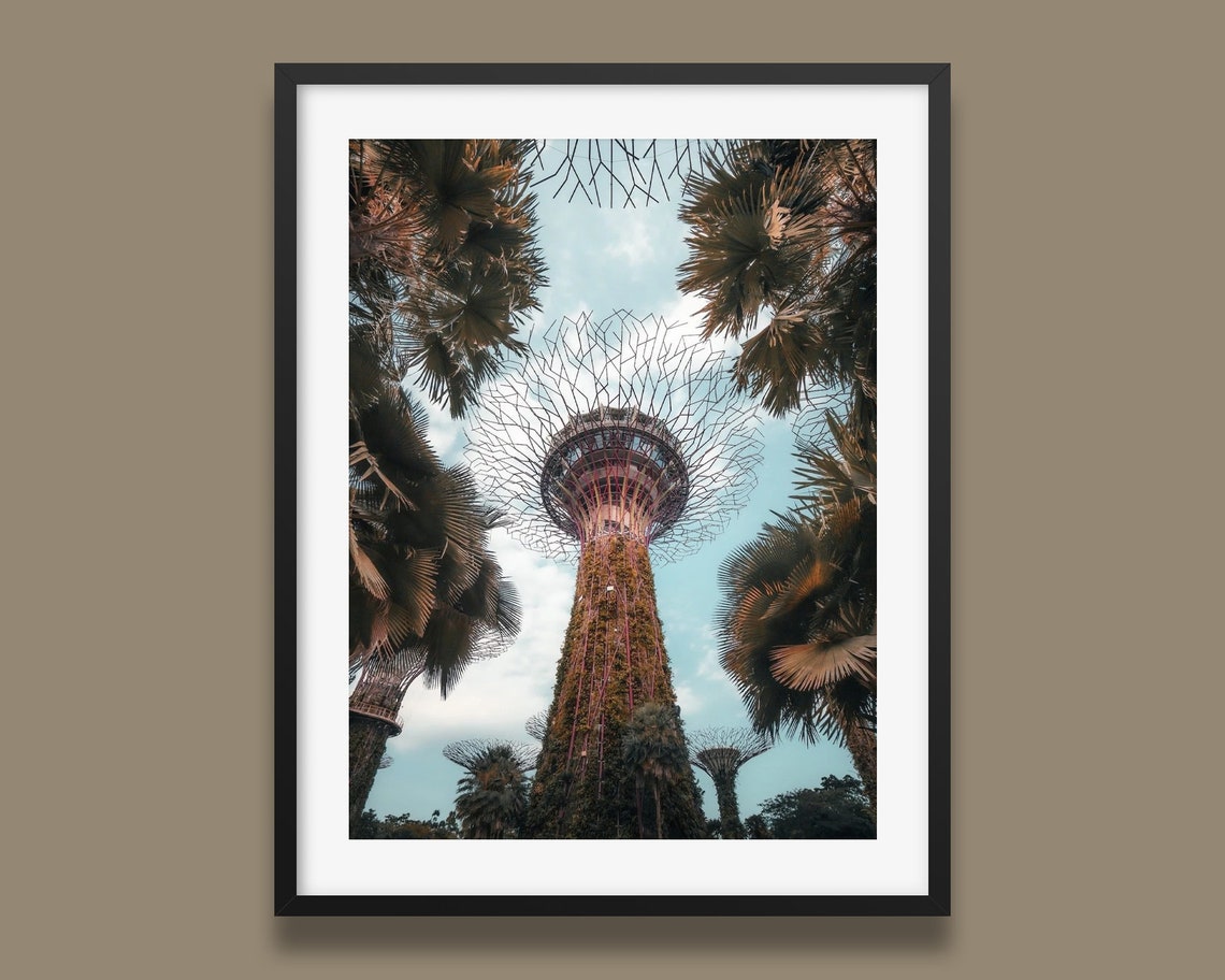 Singapore Supertrees Gardens By The Bay Skyward Palm View Poster