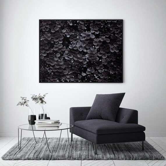 Black Botanical Abstract And White Photography Art Print