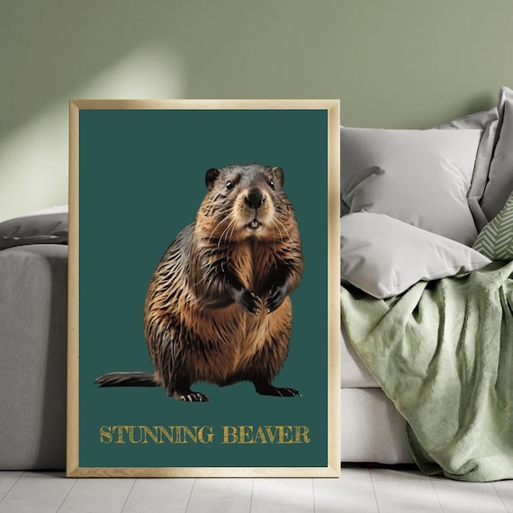 Stunning Beaver Funny Cheeky Animal Portrait Bathroom Poster