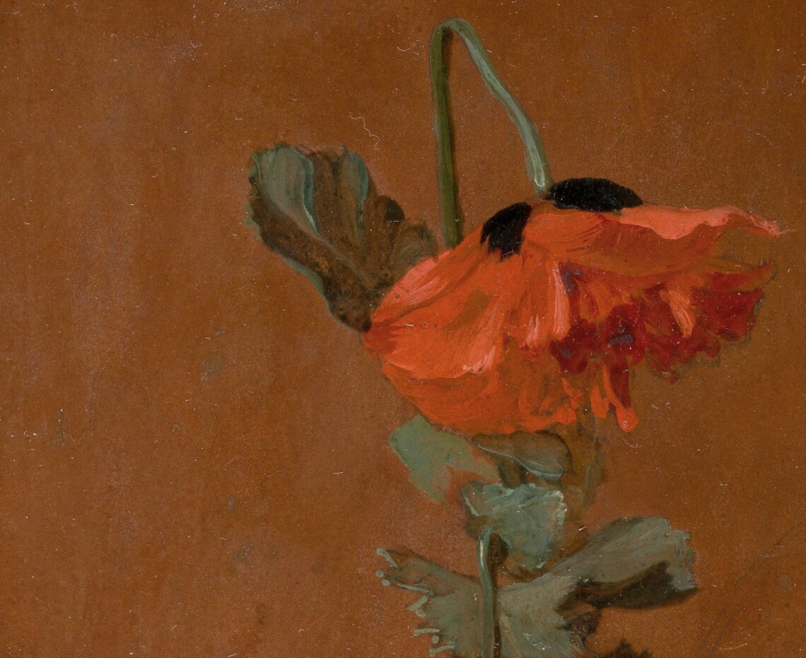 Poppy Flower Vintage Art Print, Botanical Decor - Image 2