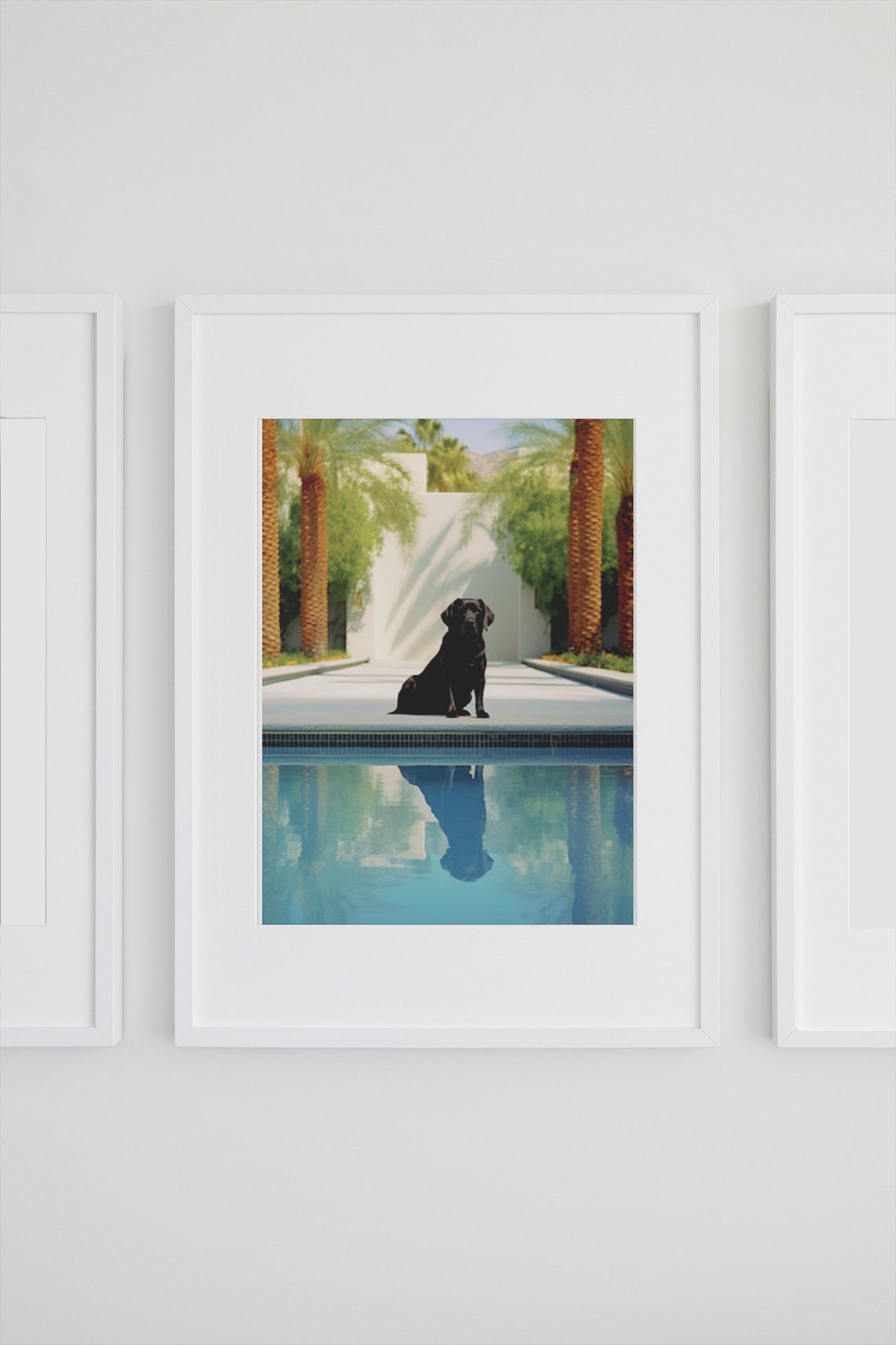 Black Labrador Poolside with Pool Reflection Retro Photo Poster - Image 2