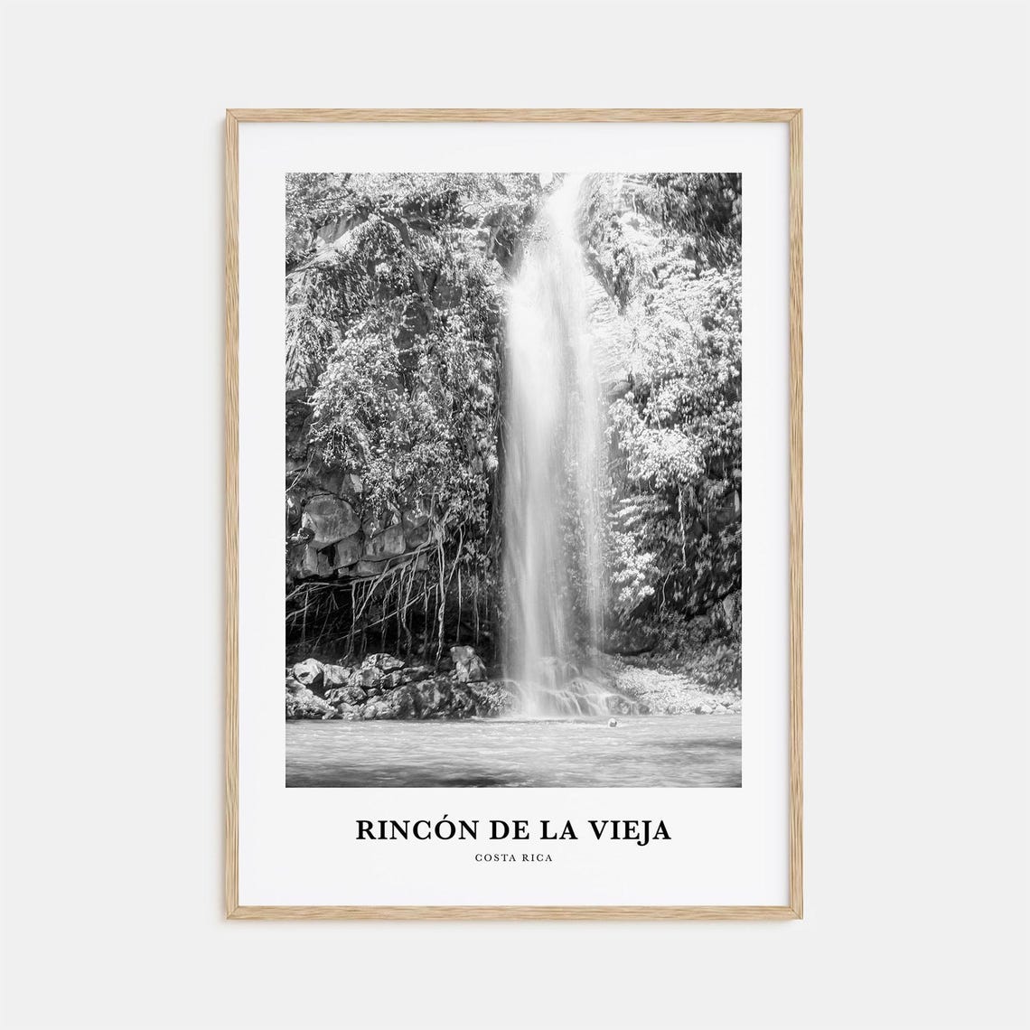Rincon de la Vieja Costa Rica Waterfall Black White Photo Poster