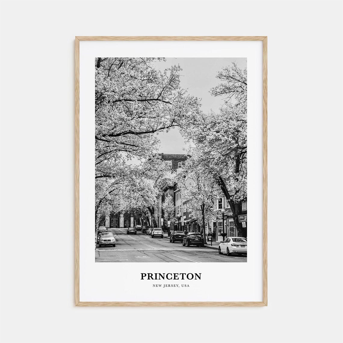 Princeton New Jersey Tree Lined Nassau Street Spring Scene Poster