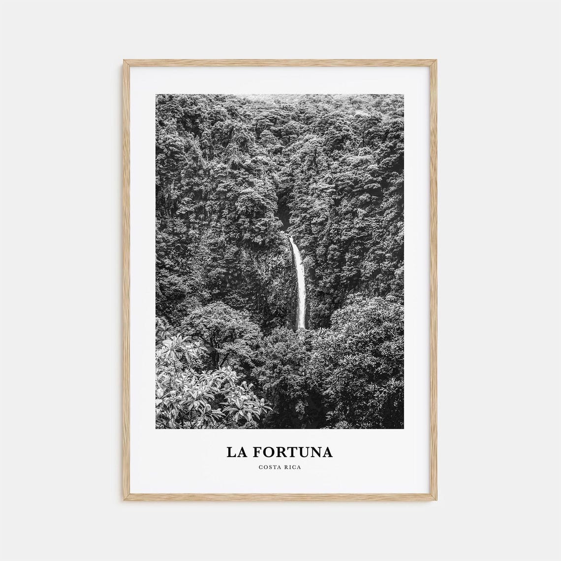 La Fortuna Waterfall Black And White Costa Rica Jungle Poster