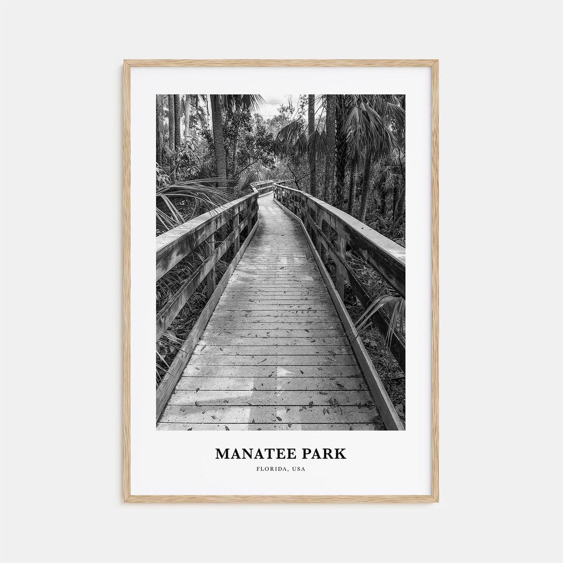 Manatee Park Florida Boardwalk Palm Forest Trail Scenic Travel Poster