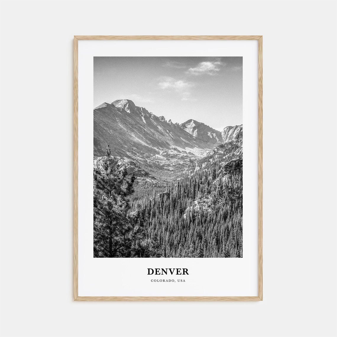 Denver Colorado Rocky Mountain Pine Forest Monochrome Poster