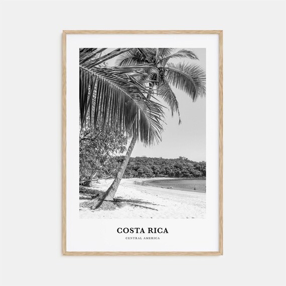 Costa Rica Central America Leaning Palm Beach Black White Print
