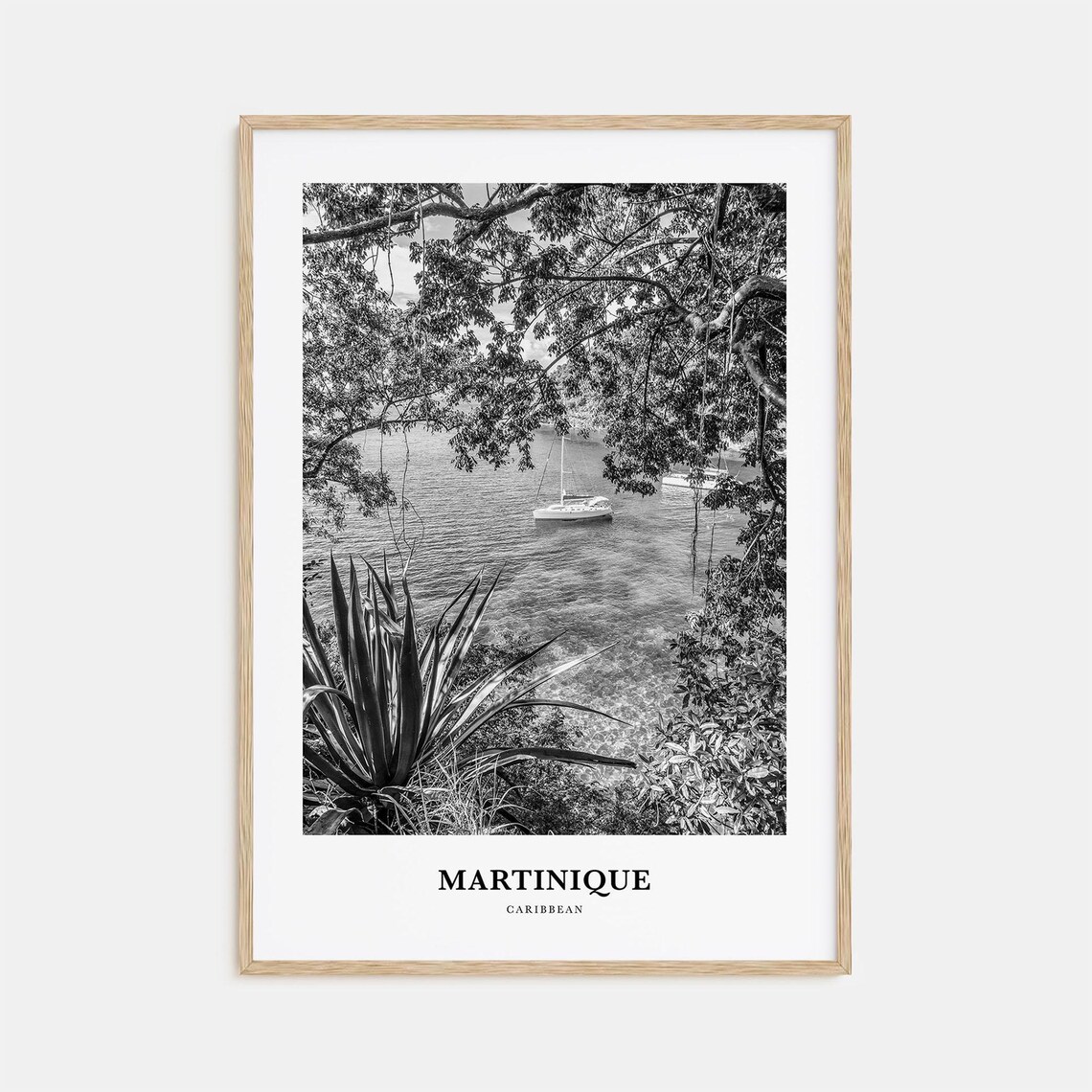 Martinique Caribbean Sailboat Anchored Bay Tropical Tree Poster