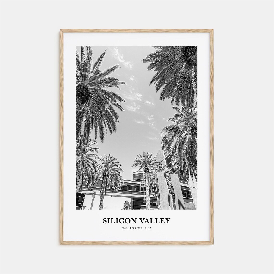 Silicon Valley California Palm Trees Black and White Photo Poster
