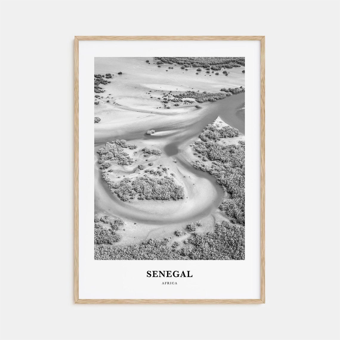 Senegal Africa Aerial Mangrove River Delta Black White Travel Poster