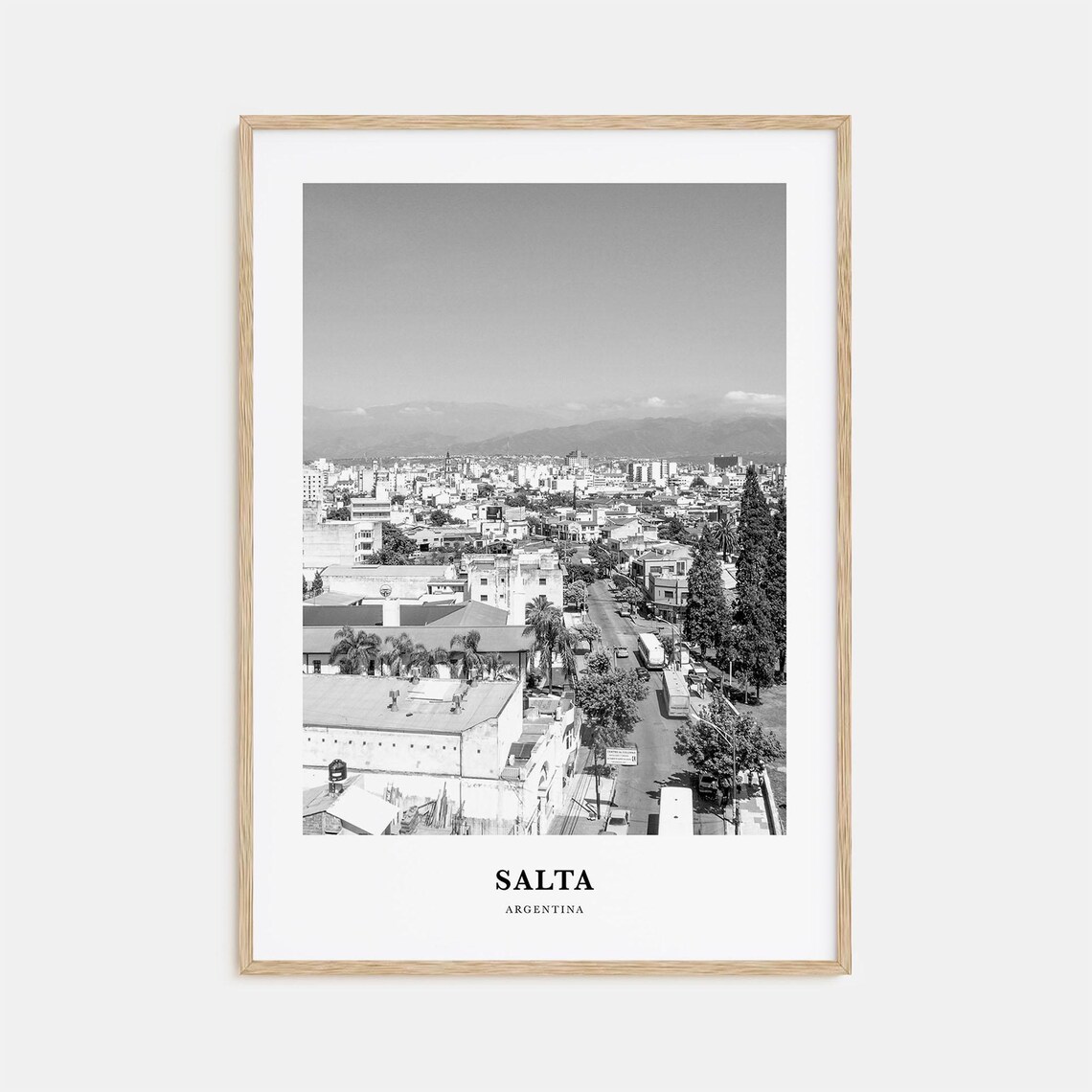 Salta Argentina City and Mountains Black and White Photo Poster