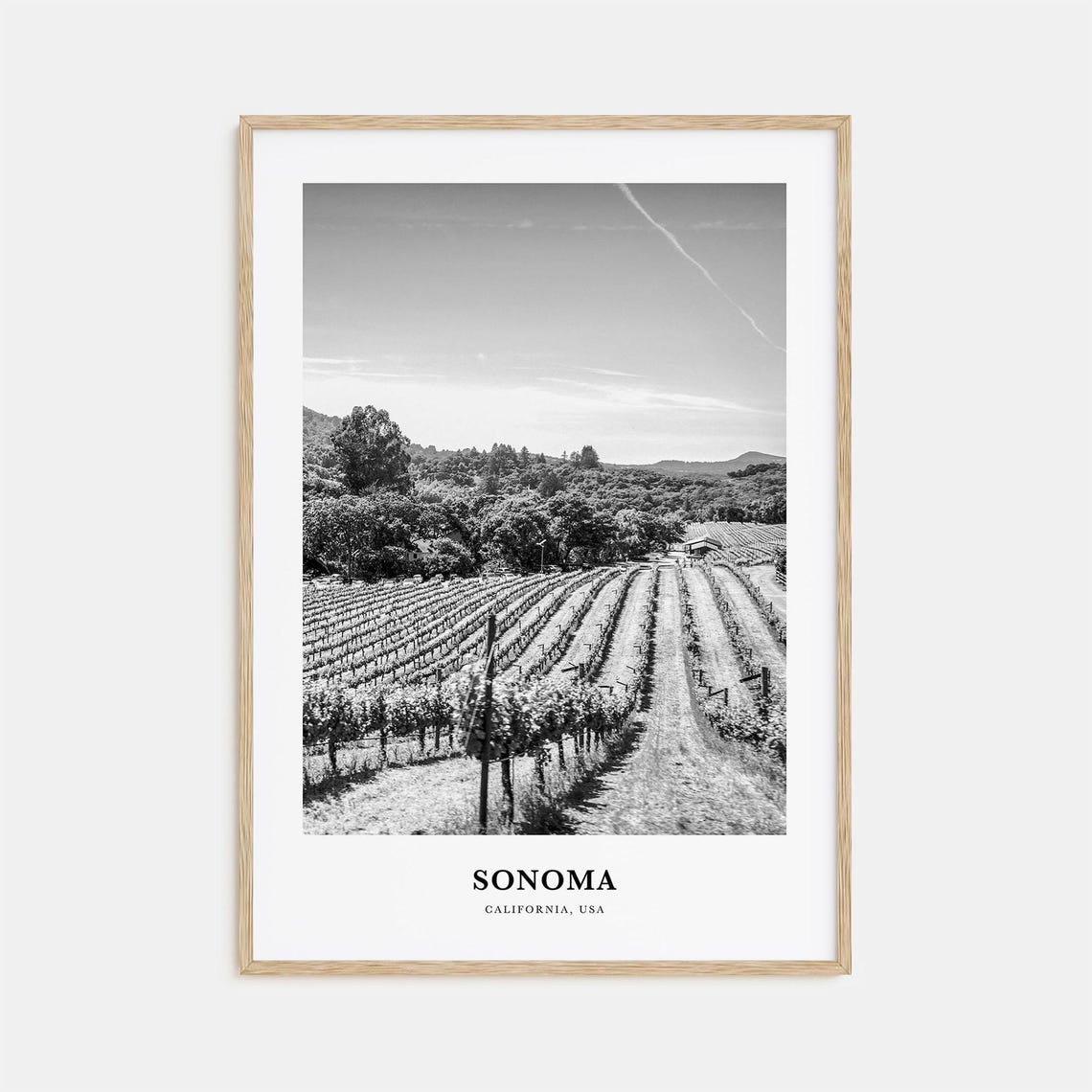 Sonoma California Vineyard Rolling Hills Black White Photo Poster