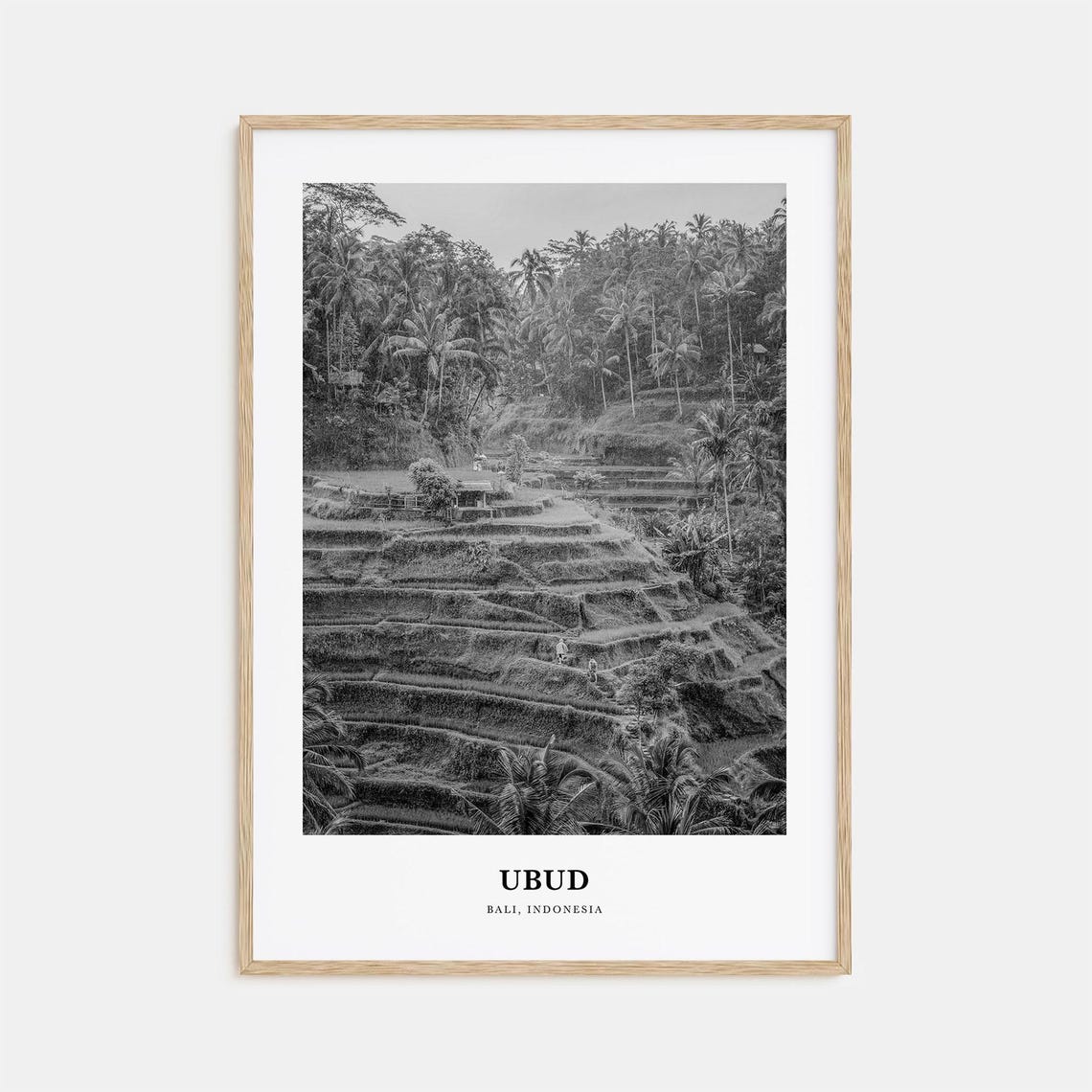 Ubud Bali Emerald Green Rice Terraces Black and White Poster