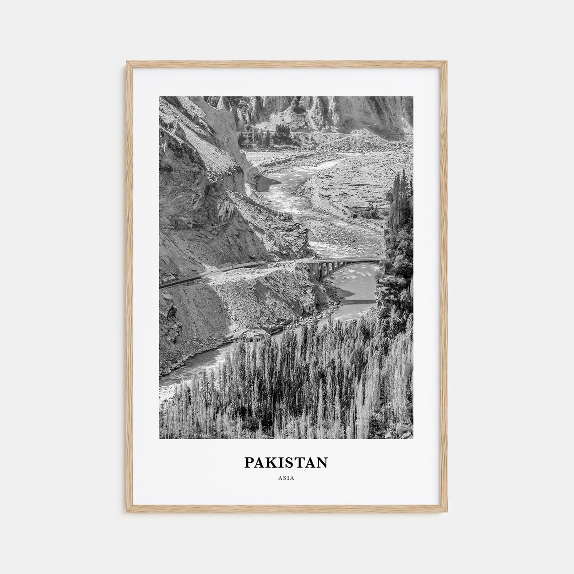 Pakistan Mosque Street City Scene Black and White Travel Poster