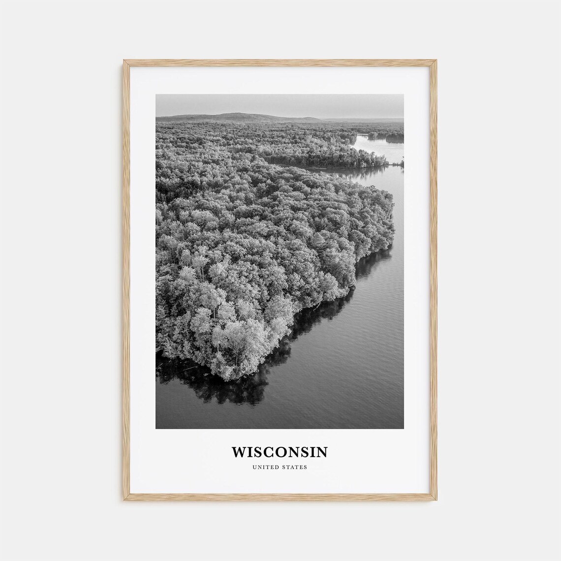 Wisconsin Aerial Forest and River Black and White Travel Poster