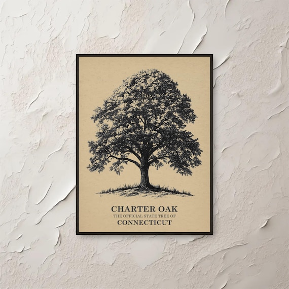 Charter Oak Connecticut State Tree Botanical Ink Sketch Print