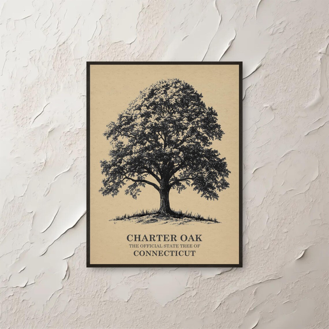 Charter Oak Connecticut State Tree Botanical Ink Sketch Print