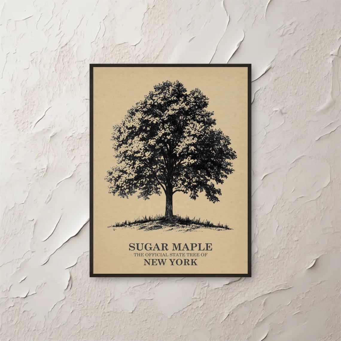 Sugar Maple New York State Tree Vintage Botanical Sketch Poster