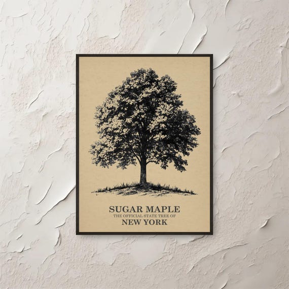 Sugar Maple Wall Art New York State Tree Botanical Print Vintage Illustration Nature Decor Home