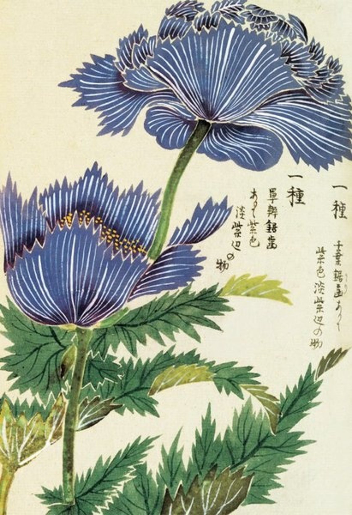 Japanese Plants and Frog Art Deco Vintage Poster Print - Image 4