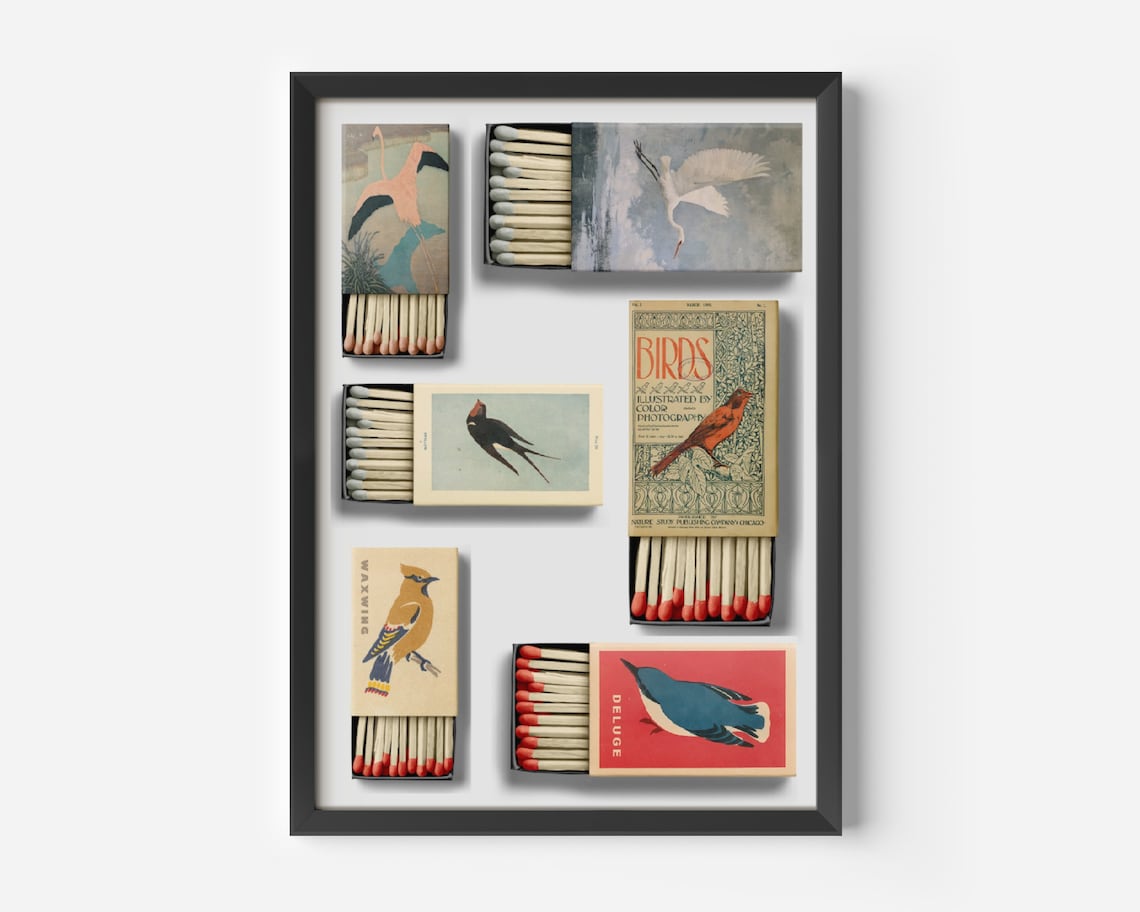 Vintage Bird Matchbox Collage, Retro Poster