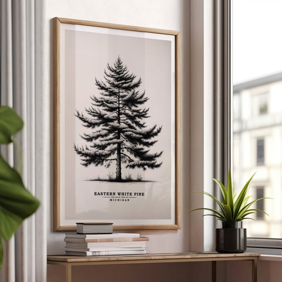 Michigan Eastern White Pine Vintage Sketch Poster