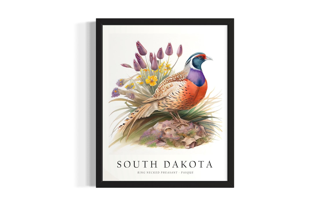 South Dakota Ring Necked Pheasant Watercolor Bird Art Poster