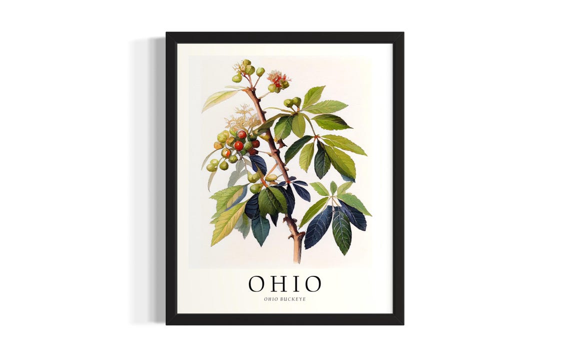 Ohio Buckeye Branch Botanical Watercolor Nature Painting Poster