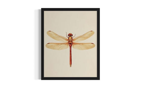 Dragonfly Insects Poster Art Print Kitchen Wall Original Painting Artwork Decor
