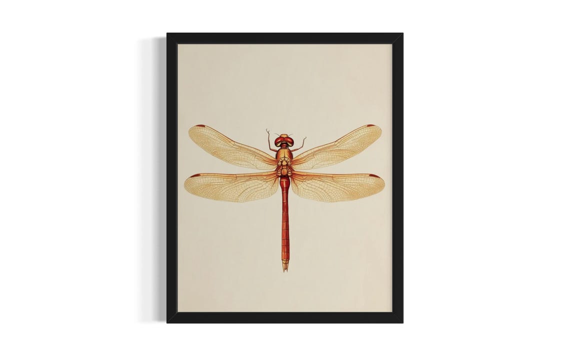 Red Dragonfly Botanical Illustration Vintage Natural History Poster