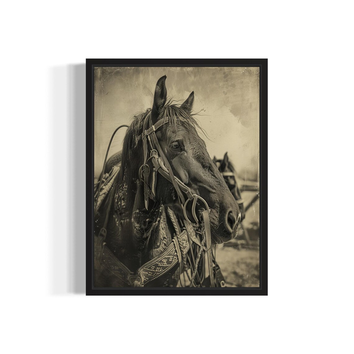 Vintage Saddled Horse Portrait Western Tack Sepia Cowboy Photo Poster