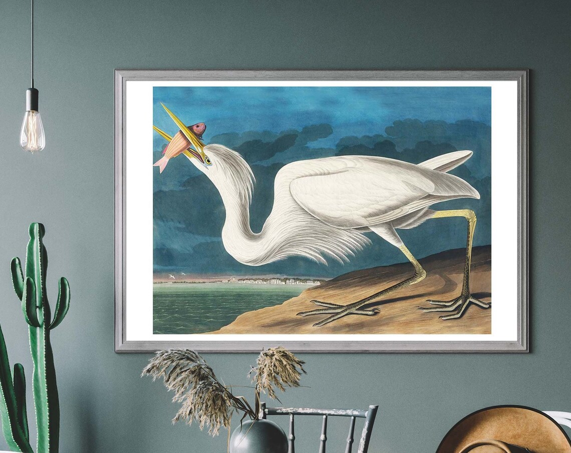 Great White Heron Vintage Art Print, Birds Of America Decor