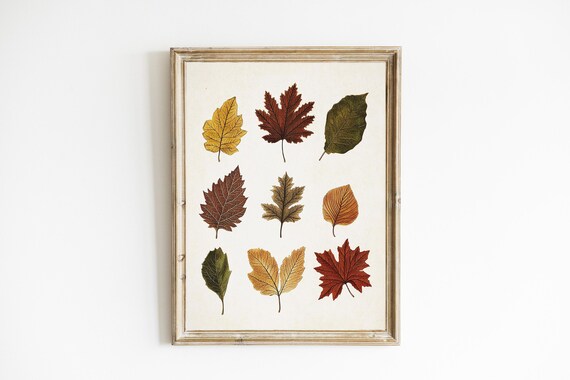 Golden Amber Autumn Leaves Botanical Wall Art Vintage Pressed Foliage