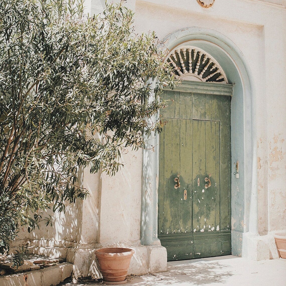 Olive Door Print, Puglia Italy Architecture Art - Image 2