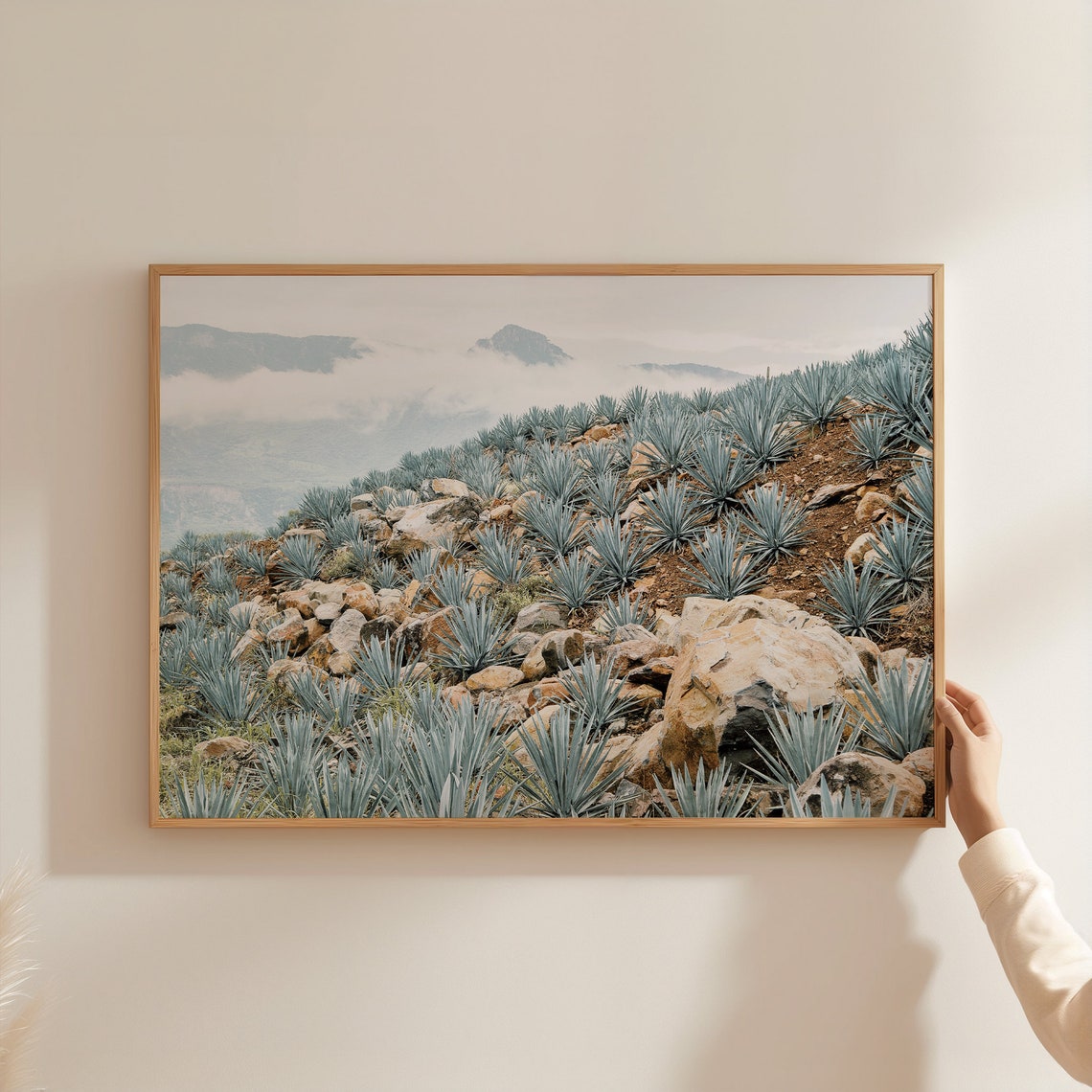 Blue Agave Mountainside Rocky Slope Above Clouds Mexico Farm Poster - Image 3