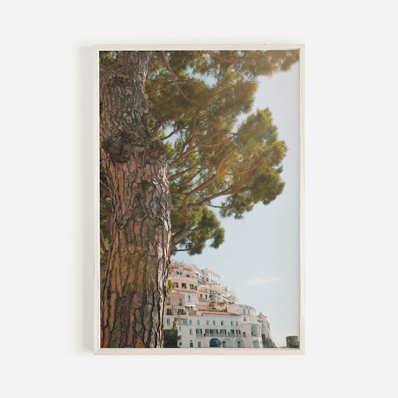 Positano Italy Pine Tree Cliffside Town Coastal Architecture View Poster