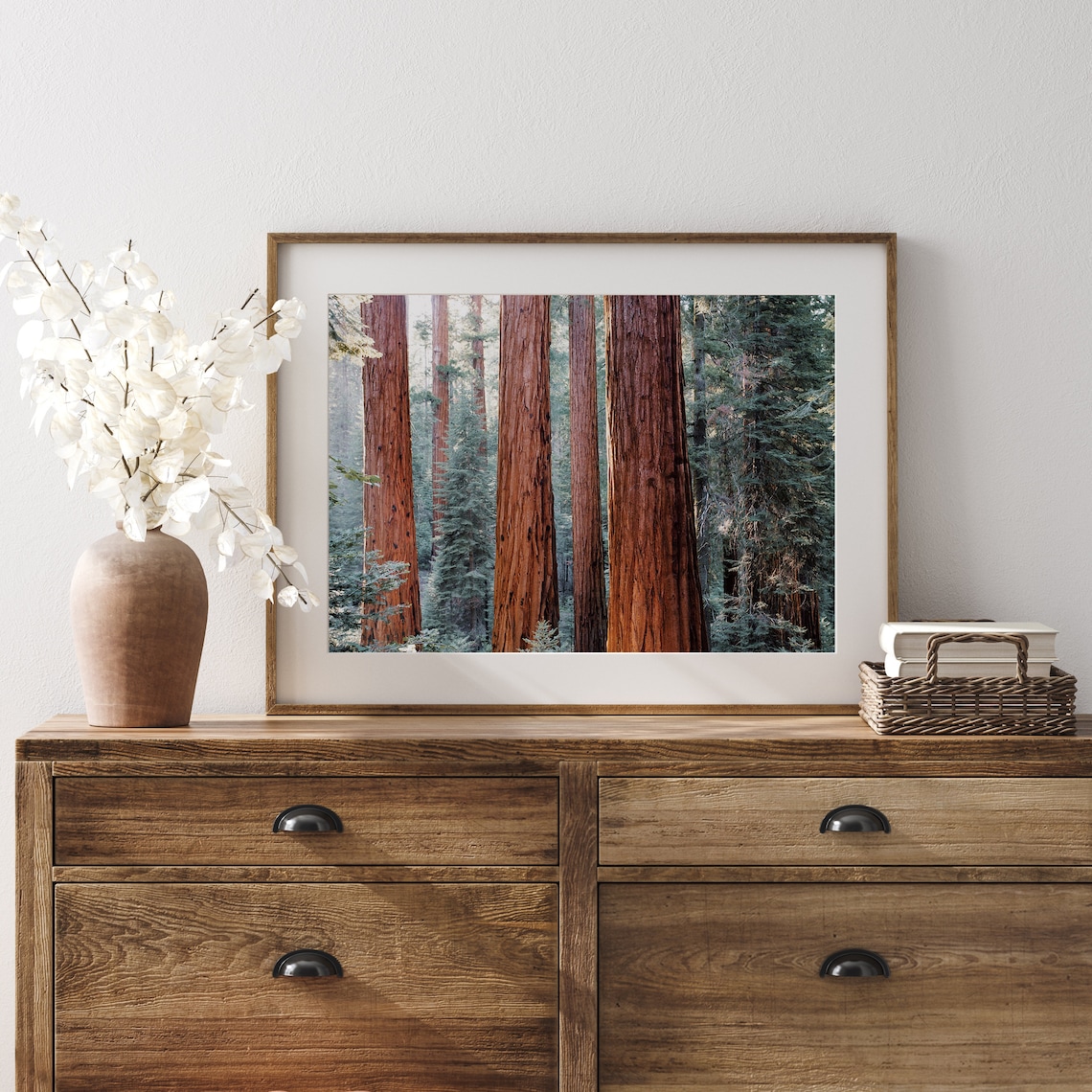 California Redwood Trees Nature Photography Art Print - Image 4