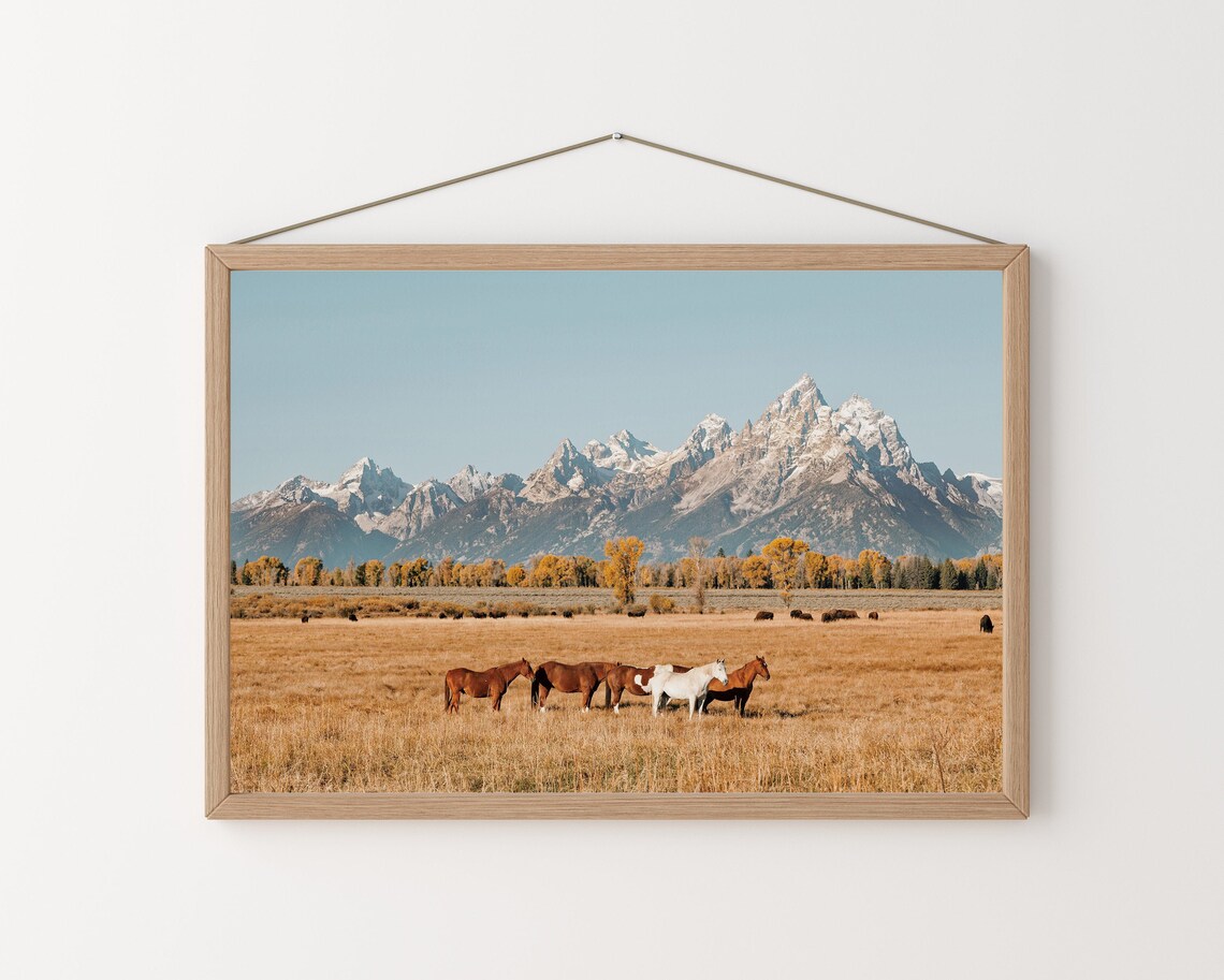 Horses in Wheat Field, Grand Teton National Park Art Print - Image 2
