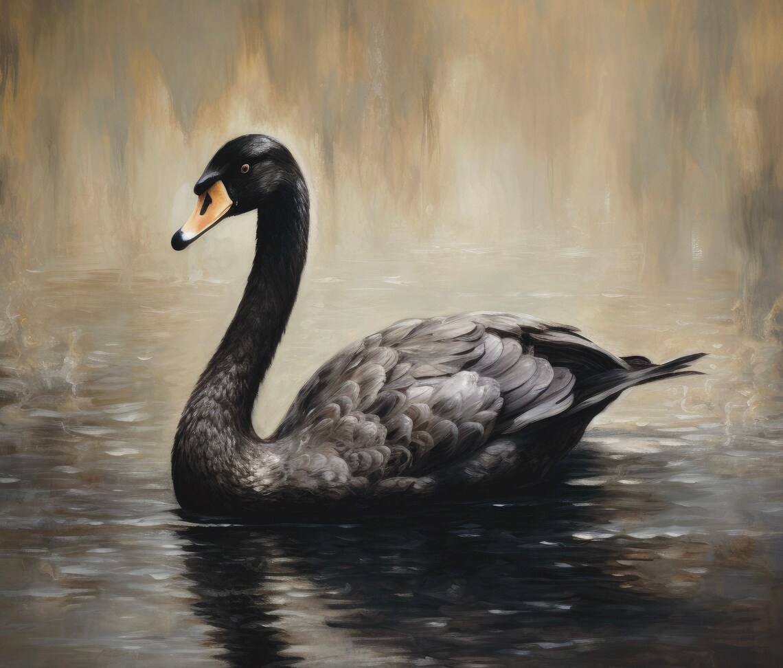 Vintage Black Swan Art Print, Farmhouse Rustic Decor - Image 6