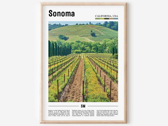 Sonoma California Wine Country Rolling Vineyard Hills Photo Poster