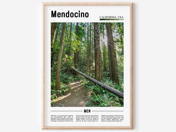 Mendocino California Redwood Forest Trail Sunlight Travel Poster