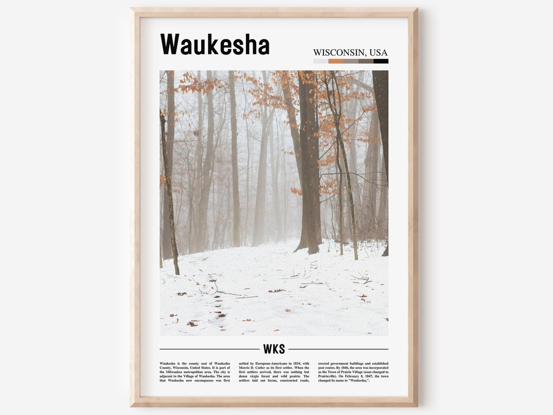 Waukesha Wisconsin Snowy Forest Winter Trees Photo Travel Poster